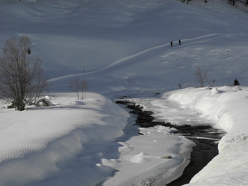 File:Sils - Val Fex im Winter- Fedacla-Bach, Langläufer.jpg