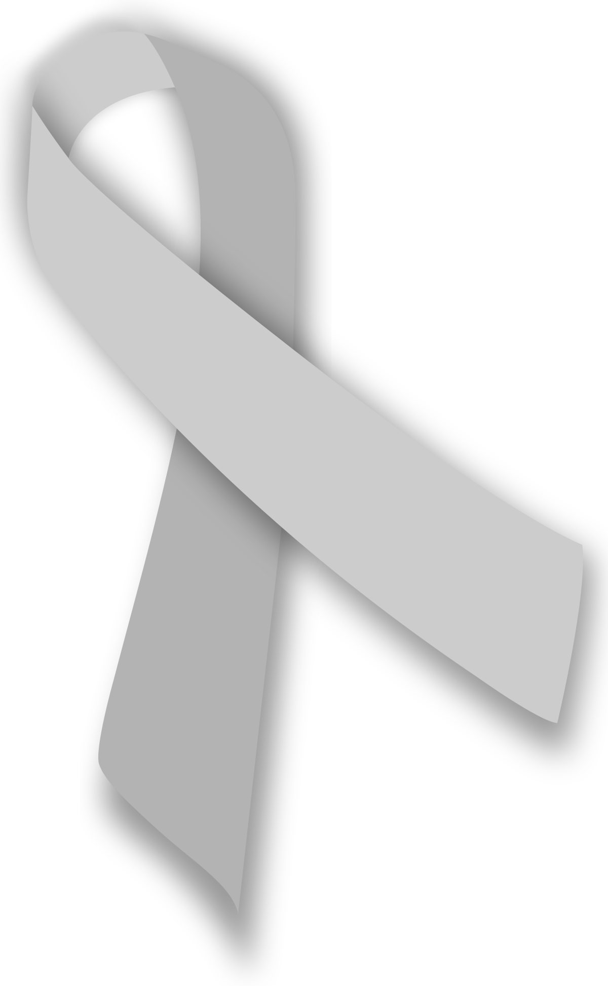 https://upload.wikimedia.org/wikipedia/commons/thumb/1/1d/Silver_ribbon.svg/1200px-Silver_ribbon.svg.png