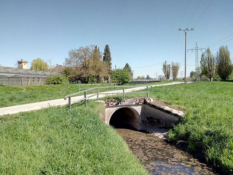 File:Sinzheimer Dorfbach, Mündung in den Sandbach.jpg