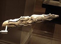 «Լողացող եղջերու» մ․թ․ա․ 13,000, Ֆրանսիա