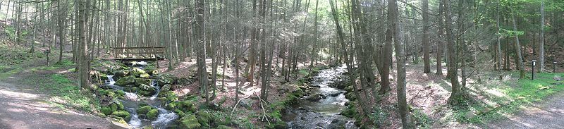 File:Snyder Middleswarth Natural Area panorama.jpg