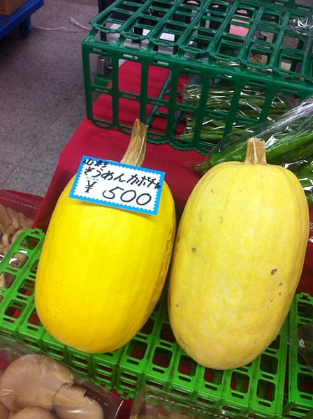 File:Somenkabocha - squash - Japan - September 2014.jpg