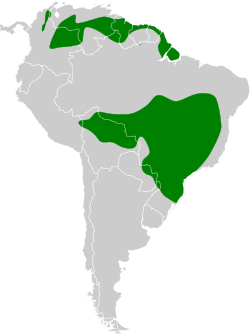 Distribución geográfica del semillero plomizo.