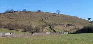 Morning Hills was the only regular full-school assembly of Winchester College, held early in the morning on the top of St. Catherine's Hill (shown), and an example of a "notion" that is a school custom. St. Catherine's Hill, Winchester 12 (cropped).jpg