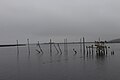 Steinhatchee River looking west from Roy's Restaurant