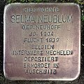 Stolperstein für Selma Neublum