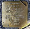 Stolperstein Tucholskystr 37 (Mitte) Scheindla C Adlerfliegel.jpg