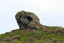 Naturdenkmal Strücker Stein östlich von Olsberg-Assinghausen