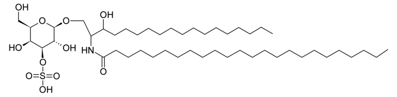 File:Sulfatide.png