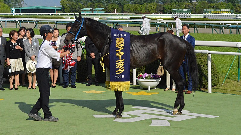 File:Sungrazer Yomiuri Milers Cup 2018(IMG2).jpg