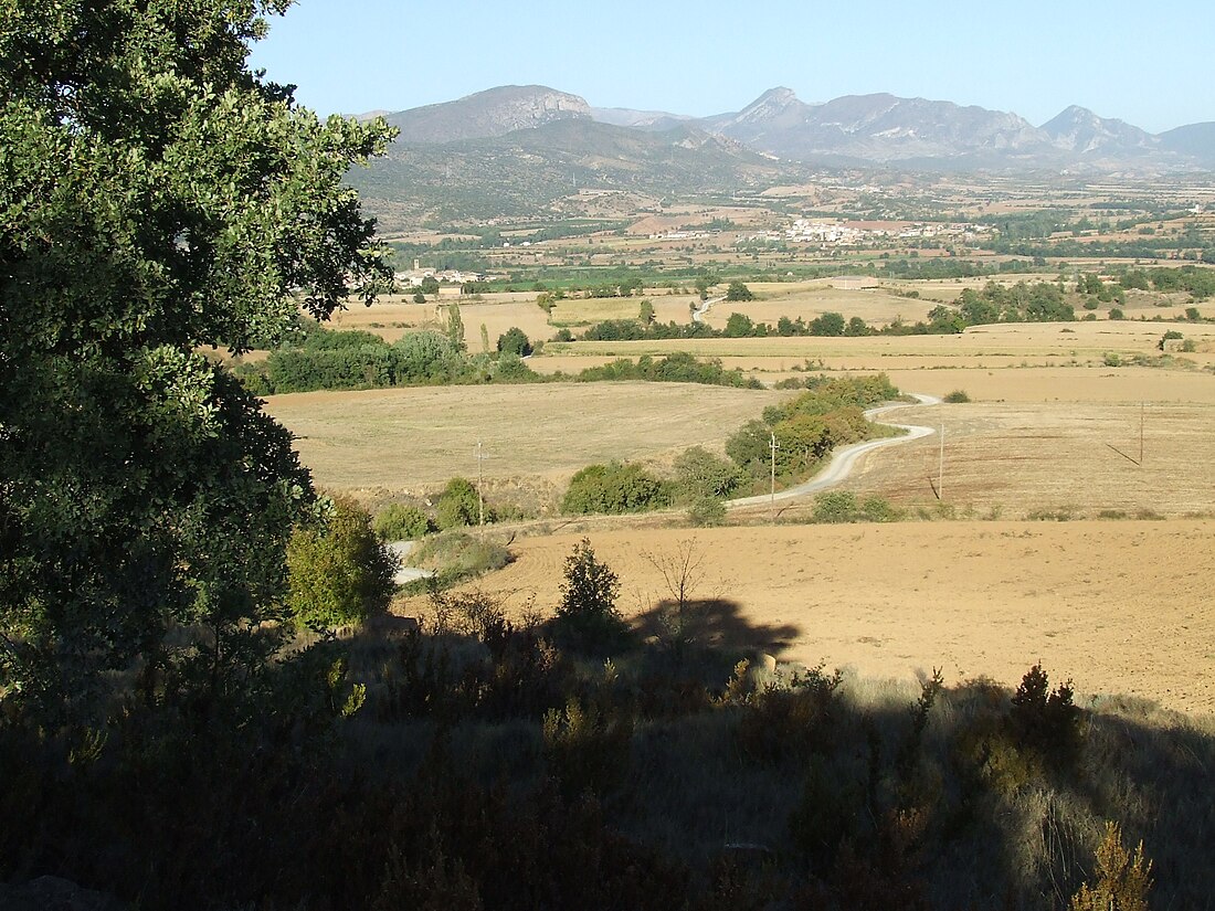 Castell de Mur