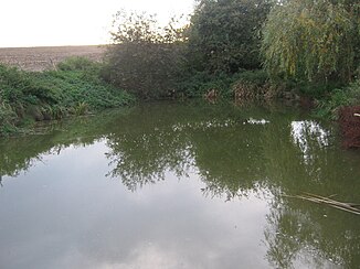 Spring pond with a spring pipe on the west bank