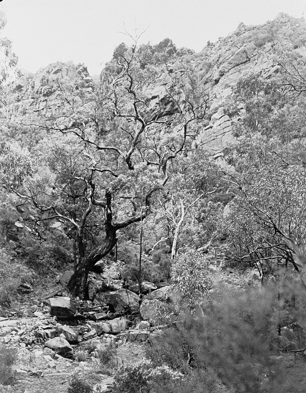 Telowie Gorge Conservation Park