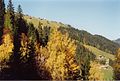 Tenna und Egschi im Herbst - panoramio.jpg