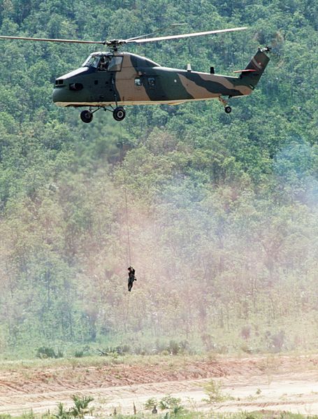 File:Thai Sikorsky S-58T hovering 1987.JPEG