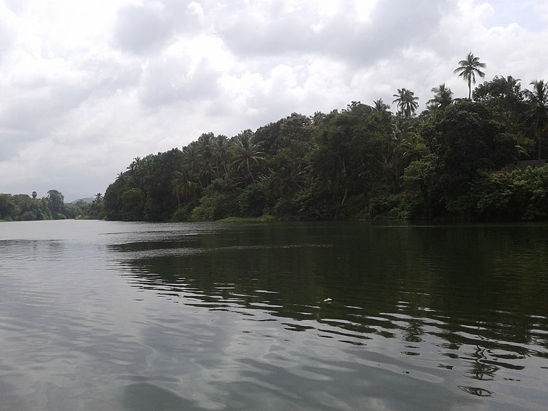 File:Thamarabharani River (Kuzhithurai).jpg