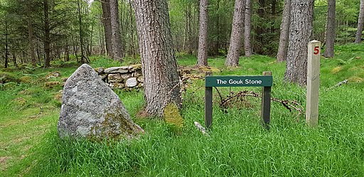 The Gouk Stone, Bennachie