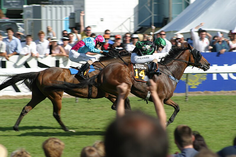 File:The Winner by 3 quarters of a length - Cluden Creek.jpg