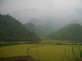 Campos-de-arroz-condado-de-Tongshan-9881.jpg