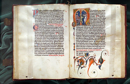 Mulomedicina (1250-1375 ca., Biblioteca Medicea Laurenziana, pluteo 45.19) Toscana, vegezio, mulomedicina, 1250-1375 ca, pluteo 45.19, 01.JPG