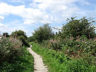 Trail, Ditchling Common - geograph.org.uk - 1446464 Trail, Ditchling Common - geograph.org.uk - 1446464.jpg