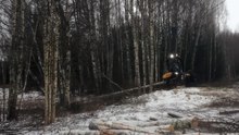 File:Tree harvester. Tartumaa, Estonia..webm