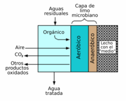 Fosa Séptica y Filtros de Turba.