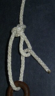 <span class="mw-page-title-main">Trucker's hitch</span> Type of knot