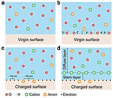 A review of molecular modelling of electric double layer
