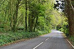 Thumbnail for File:Undercliff Drive at St Lawrence - geograph.org.uk - 4462414.jpg