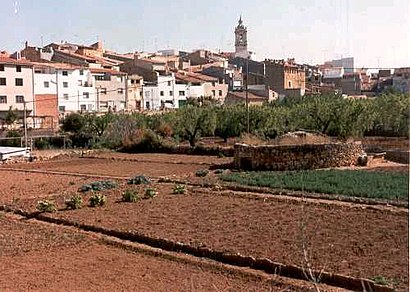 Com arribar a Albocàsser amb transport públic - Sobre el lloc