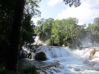 <span class="mw-page-title-main">Agua Azul</span> Cataracts on the Xanil River in Chiapas, Mexico