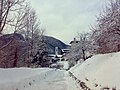 Den tidligere jernbanelinje i Venas di Cadore, i dag Dolomitternes cykelsti.