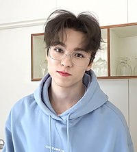 Vernon (cantante)