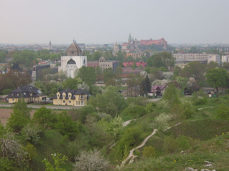 File:View frim Zakrzówek, Wawel Castle.jpg