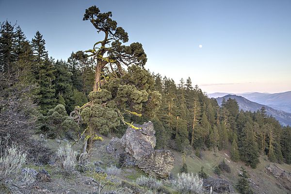 Image: Views from Cascade Siskiyou National Monument (18362936785)