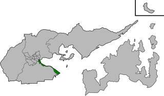 Wang Fuk (constituency)