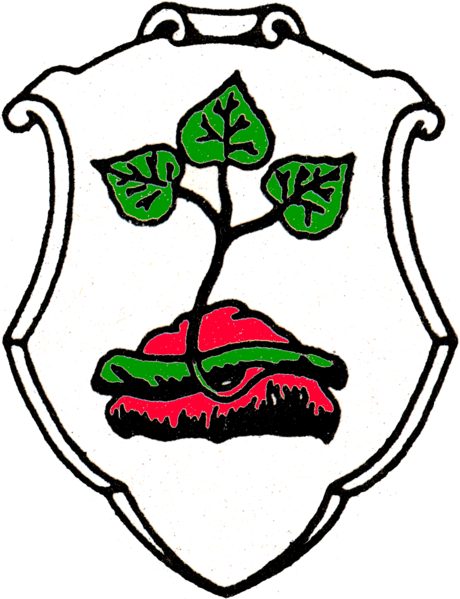 File:Wappen Rotenburg an der Fulda.png