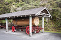 Warkworth Museum - Kauri log.jpg