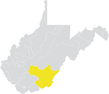Батыс Вирджиния Сенат округі 10 (2010) .png