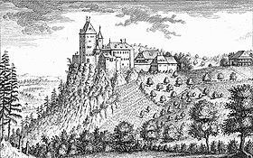 Illustratieve afbeelding van het artikel Château de Wildenstein (Zwitserland)