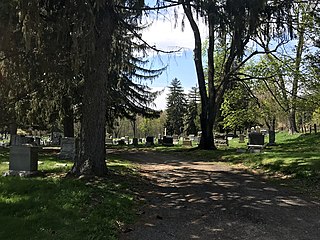 The oak groves beside Union Avenue, an older portion of the cemetery Woodlawn Groves.jpg