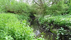 Yeading Brook