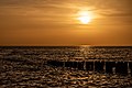 * Nomination View from the beach to the Westerschelde, Zoutelande, Zeeland, Netherlands --XRay 05:45, 25 December 2022 (UTC) * Promotion  Support Good quality.--Agnes Monkelbaan 05:52, 25 December 2022 (UTC)