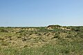 * Nomination: Boigaryskum desert. Karatal sands sanctuary. Altay District, East Kazakhstan Region, Kazakhstan. By User:Avustfel --Красный 10:27, 5 June 2024 (UTC) * * Review needed