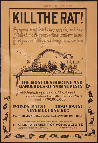 File:"Kill The Rat... The Most Destructive and Dangerous of Animal Pests... Poison Rats. Trap Rats. Never let one go..." - NARA - 512723.jpg