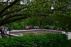 Ботанический сад им. А.В. Фомина в Киеве. Фото 42.jpg
