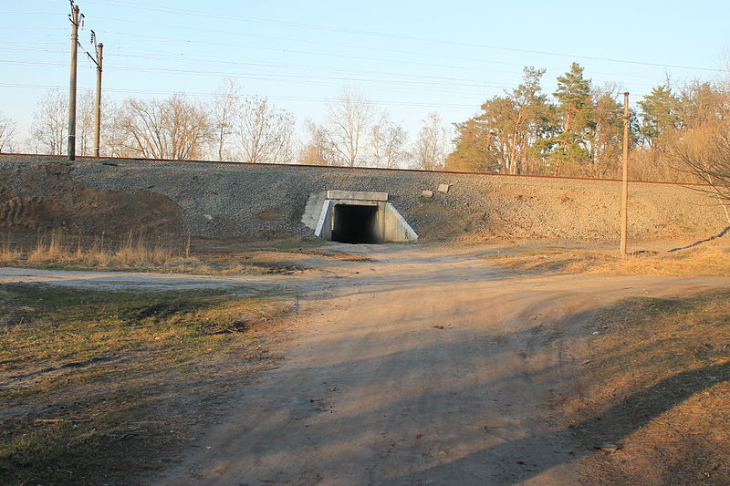 File:Ворзель. Пішохідний тонннель.JPG