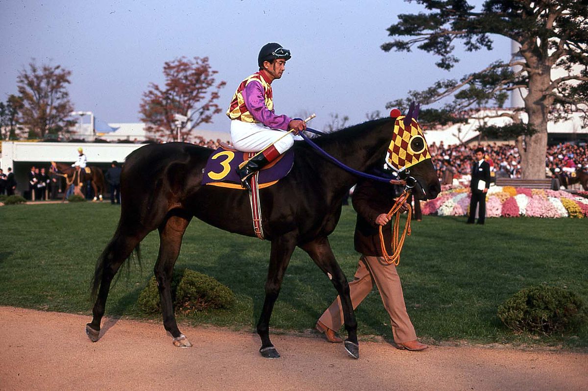 これは惚れる 女性競馬ファン必見のイケメンジョッキー１５人を紹介 競馬情報サイト