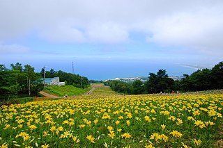 ファイル オーンズ春香山ゆり園 Onze Harukayama Lily Garden Panoramio 7 Jpg Wikipedia